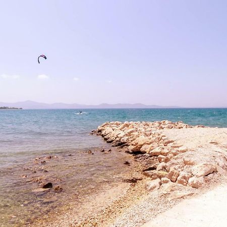 Privat Room Luka Zadar Dış mekan fotoğraf